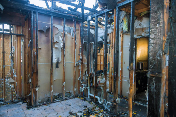 Professional Fire Damage Repair technician working in Central Park, WA